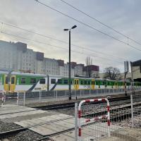 nowe przejscie dla pieszych, Warszawa Wieleńska