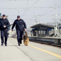 mobilne centrum monitoringu, noktowizor, fotopułapka, samochód terenowy, pies służbowy