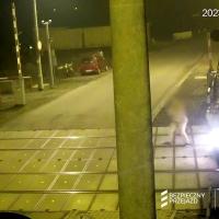 bezpieczny przejazd, kampania społeczna, przejazd kolejowo-drogowy, kierowca, tor, monitoring, monitoring na przejazdach, samochód osobowy