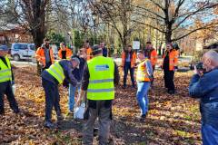 LK104, ochrona środowiska, drzewo, www.podleze-piekielko.pl, Rabka-Zdrój, nasadzenie