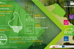 infografika, E75, Rail Baltica, CEF