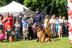 ludzie, SOK, Straż Ochrony Kolei, bezpieczny przejazd, kampania społeczna, szlaban na ryzyko, dzień dziecka, dzieci, dziecko, wydarzenie plenerowe, stoisko kampanii, zabawa, KPRM, Kancelaria Prezesa Rady Ministrów, funkcjonariusz SOK