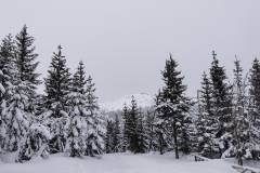 Karpacz, góra, Śnieżka, śnieg