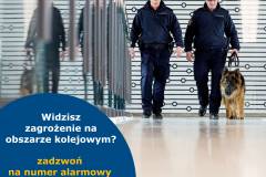 rozkład jazdy, infokiosk, służby techniczne, wyjazdy świąteczne, Portal Pasażera