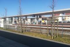 pasażer, peron, stacja, wiata, LK356, Wągrowiec