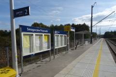 nowy przystanek, LK22, nowy peron, podniesienie prędkości, Smogorzew Przysuski, nowa tablica